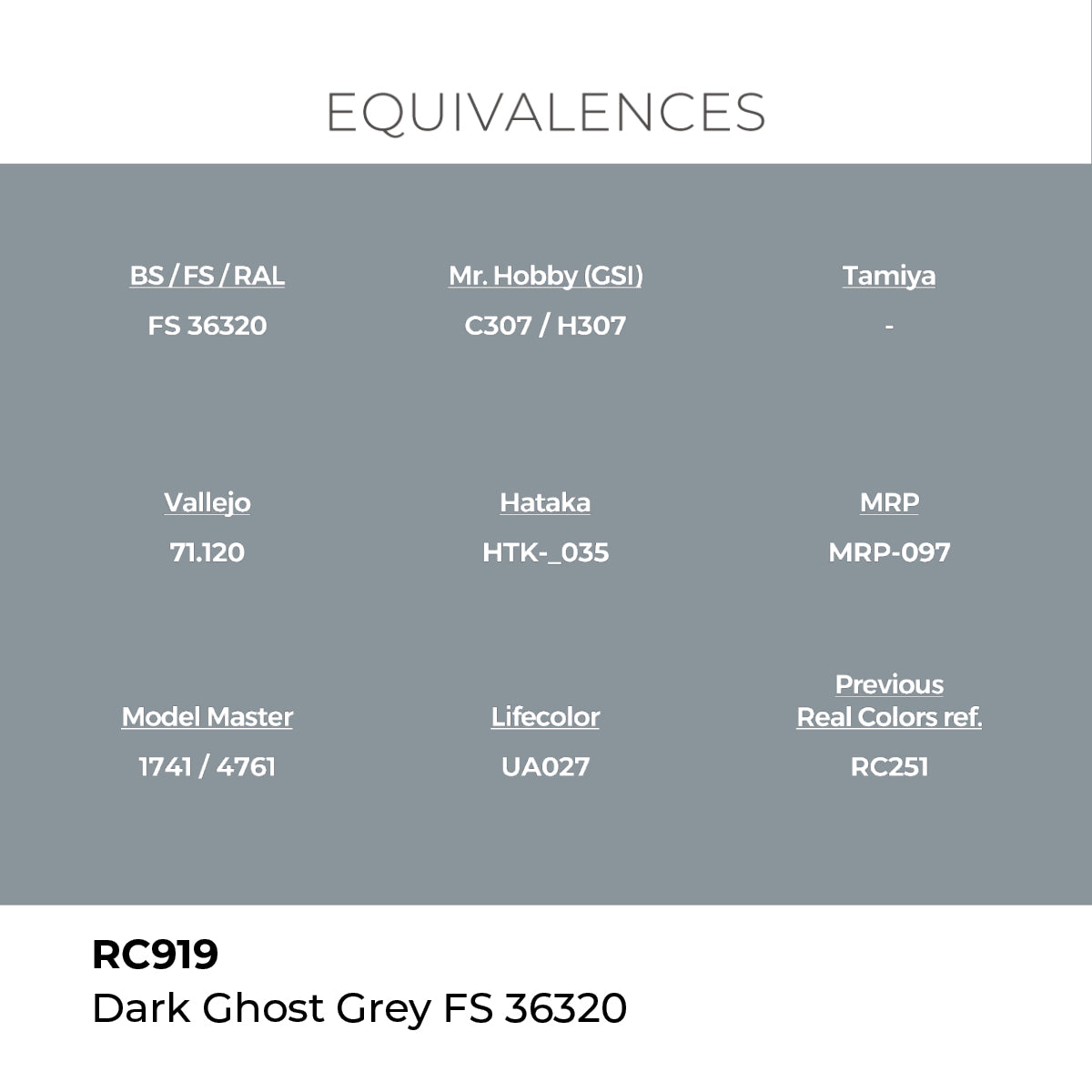 Real Colors Dark Ghost Grey FS 36320 17 ml. RC919