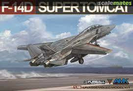 AMK 1/48 F-14D Tomcat 88007