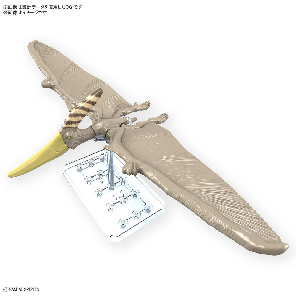 Bandai Pteranodon Snap Kit 2665828 