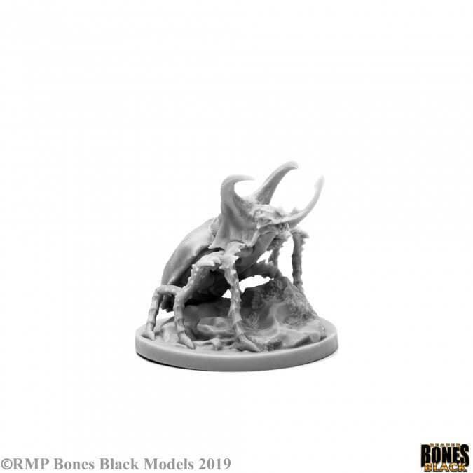 Bones Black Giant Rhino Beetle 44138