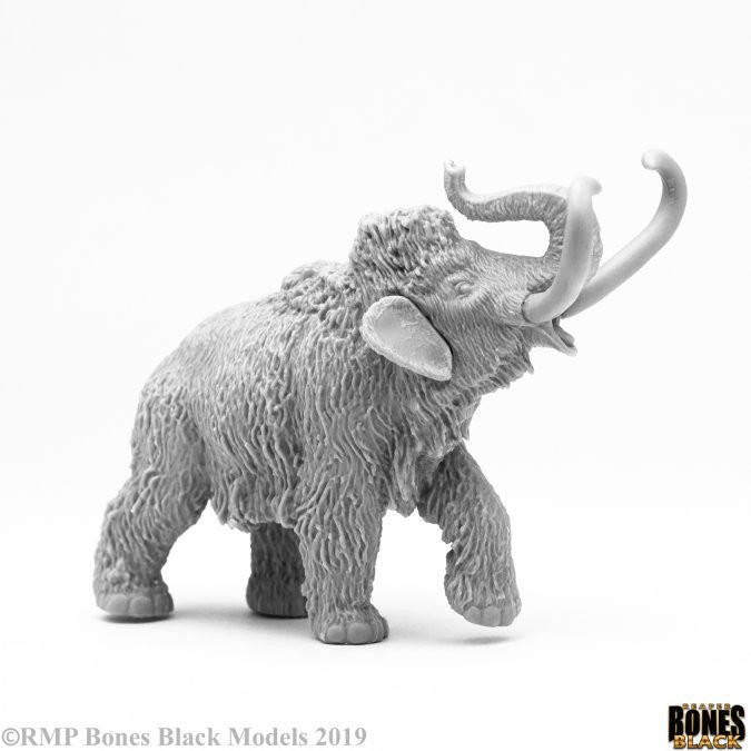 Bones Black Pygmy Mammoth