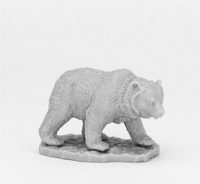 Bones Cave Bear 44082