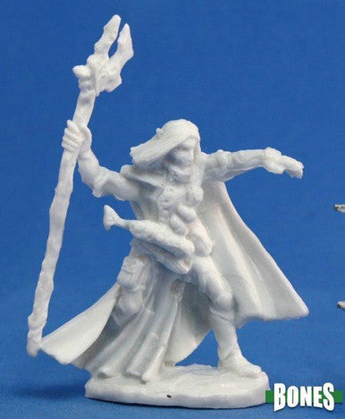 Elquin High Elf Adventurer 77092