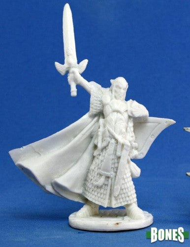 Turanil Male Elf Paladin 77044