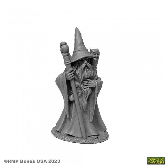 Bones USA Dungeon Dwellers Anuminar Winterbeard, Wizard (07077) 