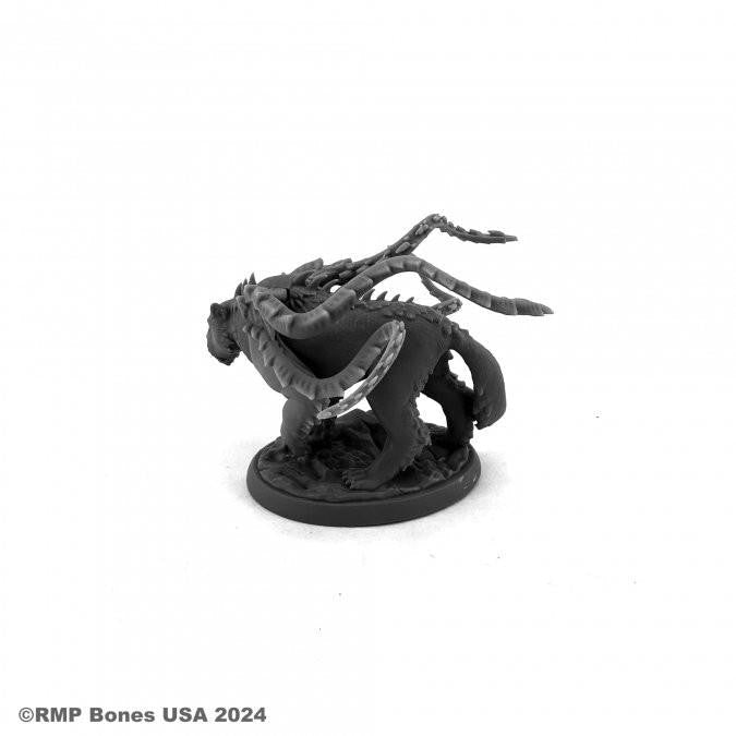 Bones USA Dungeon Dwellers Phase Cat (07121) 