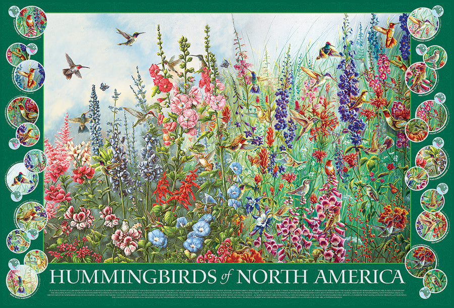 Complete Hummingbirds of North America puzzle artwork