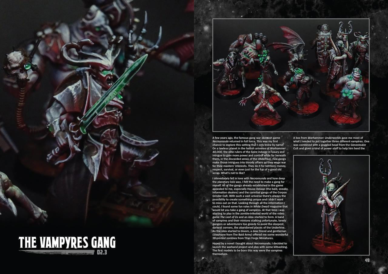 Dave Taylor Miniatures The Art of Seyni N'Diaye 