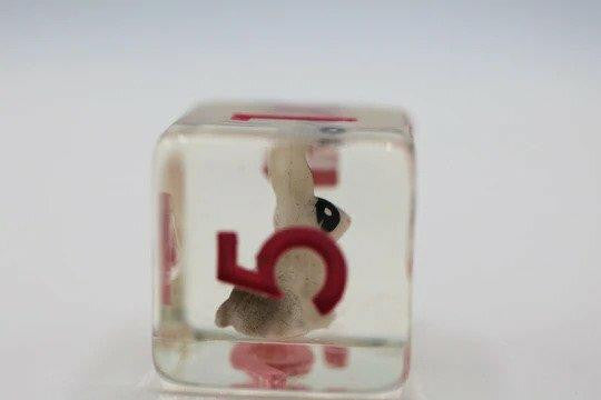 Foam Brain Games Backyard Bunny RPG Dice Set