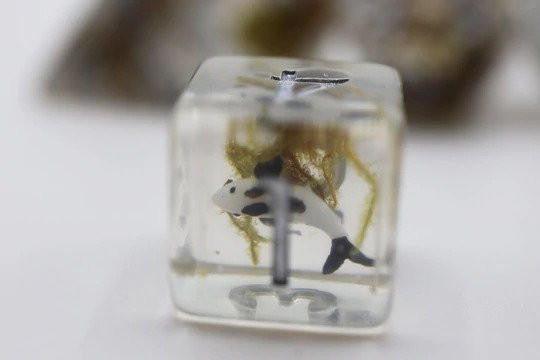 Foam Brain Games Black Koi Fish RPG Dice Set