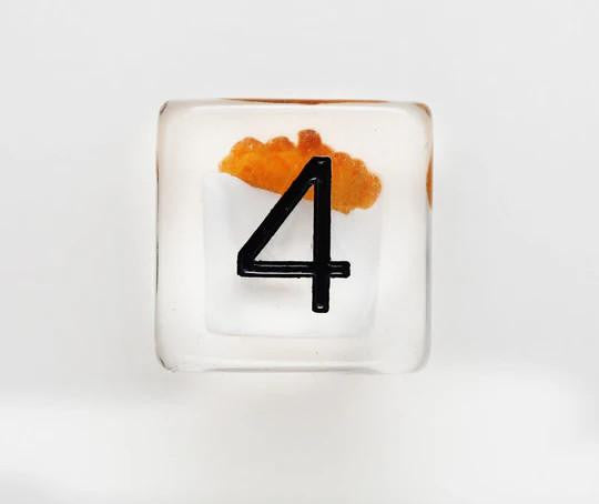 Foam Brain Games Foam Brain Dice - RPG Dice Set - Fries 