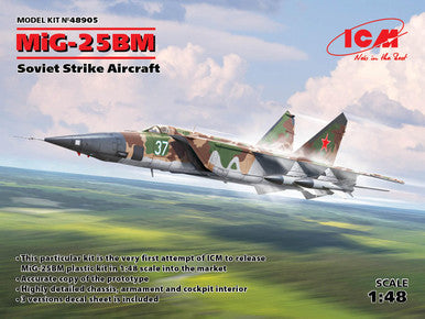 1/48 MiG-25BM Soviet Strike Aircraft 48905