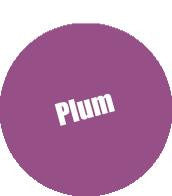 Monument Hobbies Pro Acryl Plum 070 