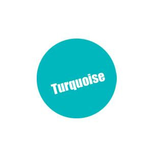 Monument Hobbies Pro Acryl Turquoise 054 