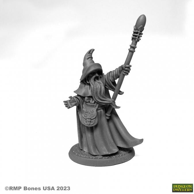 Reaper Miniatures Arakus Landarzad, Wizard 