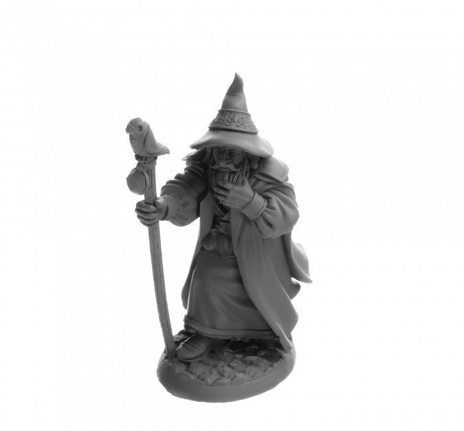 Reaper Miniatures Landol Griswold, Human Wizard