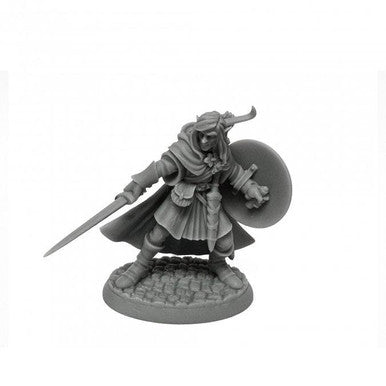 Mellonir Windrunner, Elf Warrior (07026)