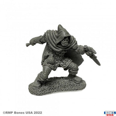 Rogan, Half-Orc Thief (30085)