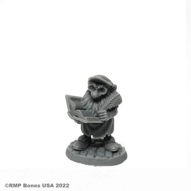 Stub, Gnome Accountant (30120)