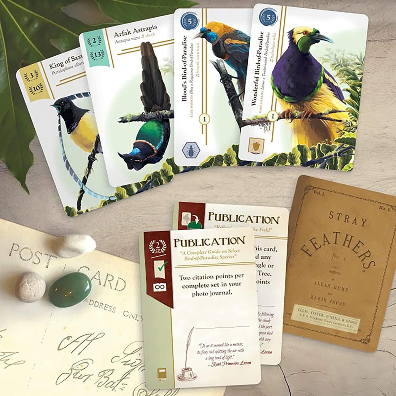 Renegade Game Studios Birdwatcher