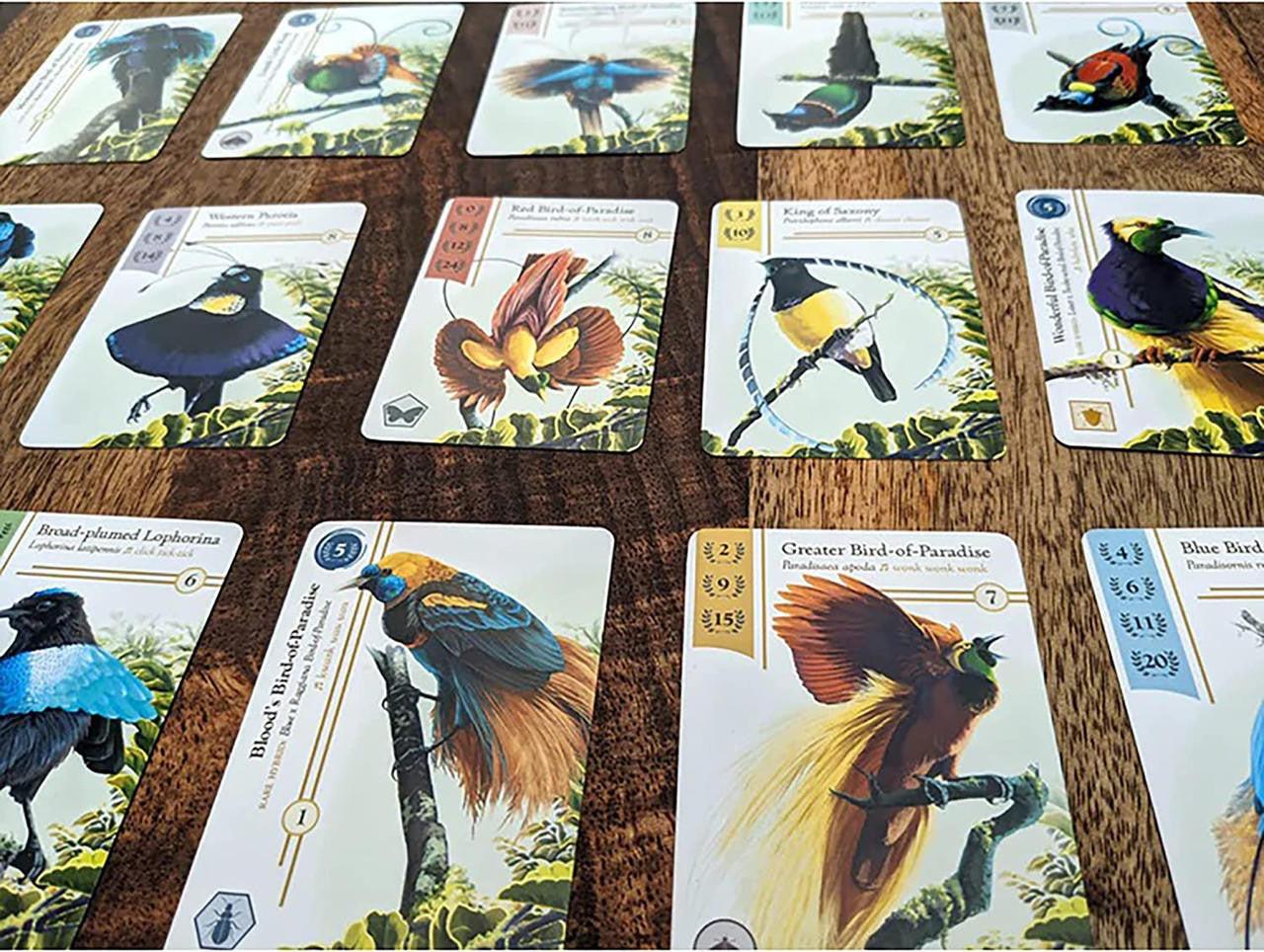 Renegade Game Studios Birdwatcher