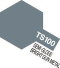TS-100 Brite Gun Metal 100ml