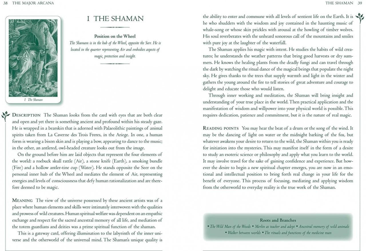 Union Square & Co. Wildwood Tarot Deck 