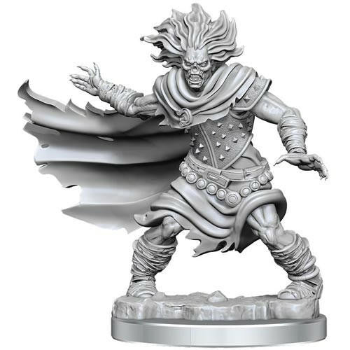 WizKids DandD Frameworks W1 Wight