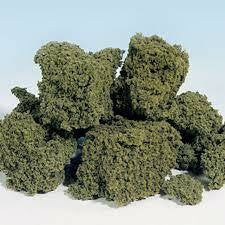 Foliage Clusters Lt.Grn 182