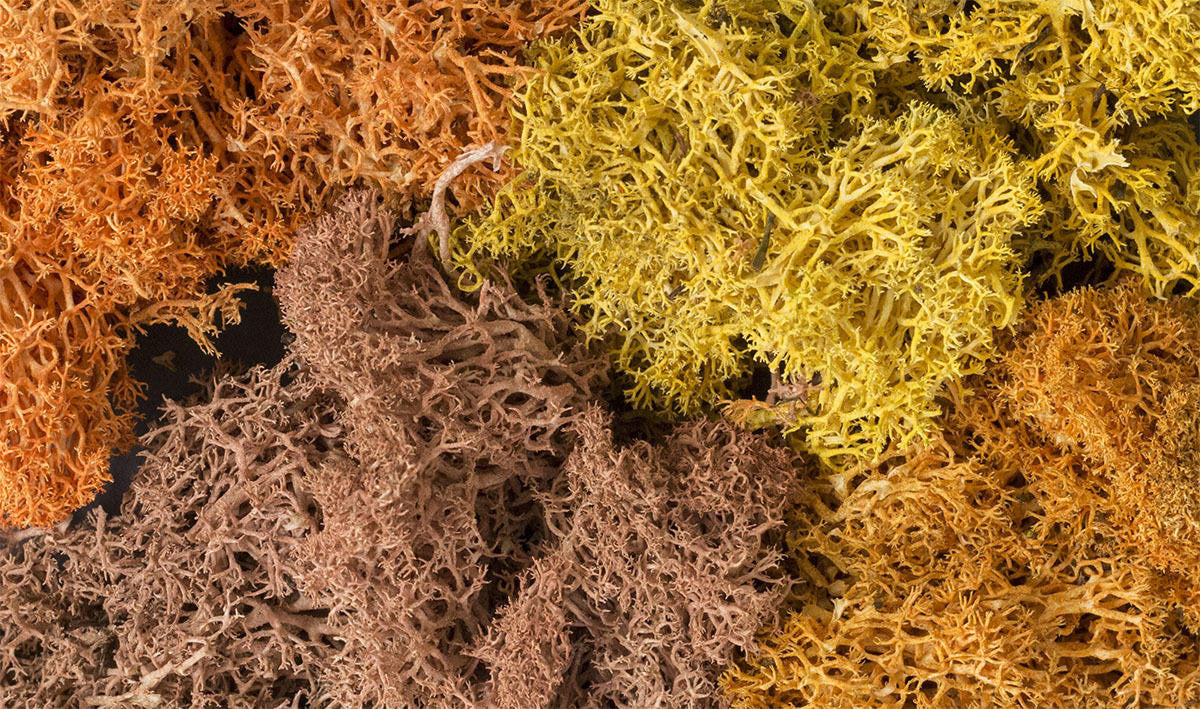 Woodland Scenics Lichen - Autumn Mix 1qt Bag 165
