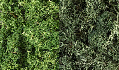 Lichen Dark Green Mix 168
