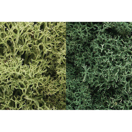 Woodland Scenics Lichen - Light Green Mix Lg Bag 167 