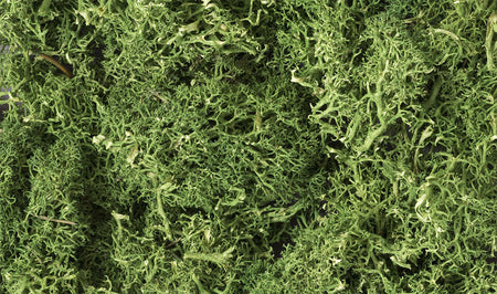 Woodland Scenics Lichen - Medium Green 1qt Bag 163