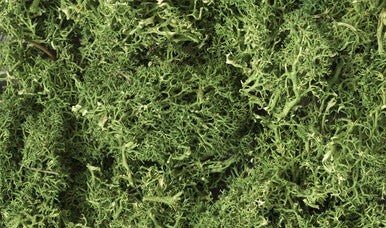 Lichen - Medium Green 1qt Bag 163