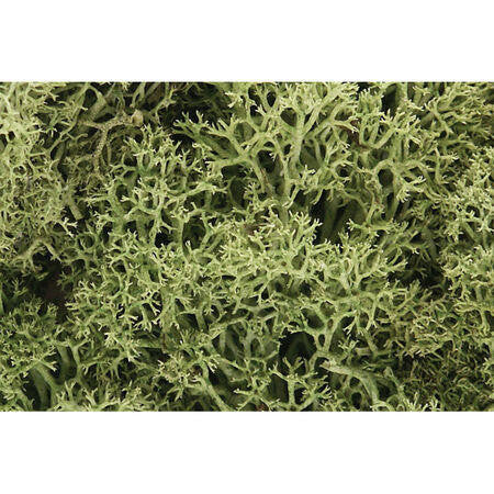 Woodland Scenics Lichen - Spring Green 1qt Bag 161 